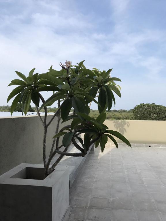 Tree Tops Яла Екстериор снимка